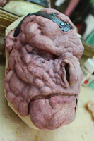 Taller de maquillaje en latex